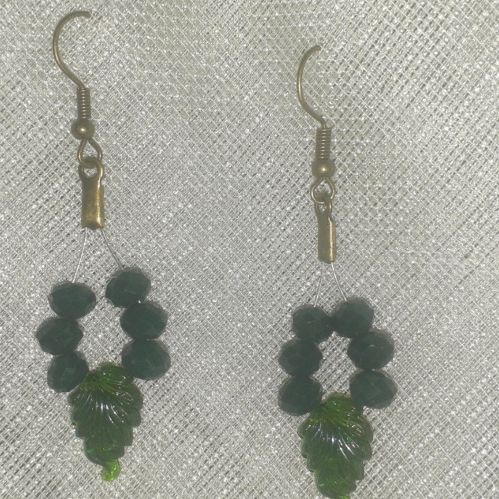 Earrings #281